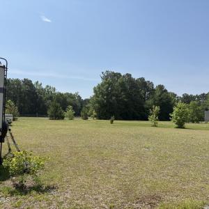 back land