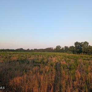 Photo #1 of 768 Fisher, Saint Pauls, NC 37.3 acres