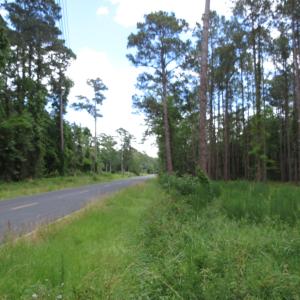 Photo #3 of 3231 Orchard Creek, Oriental, NC 7.9 acres