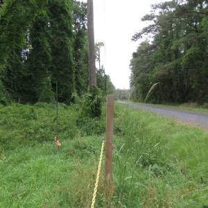 Photo #4 of 3231 Orchard Creek, Oriental, NC 7.9 acres