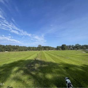 Photo #12 of 3927 Whortonsville, Merritt, NC 7.5 acres