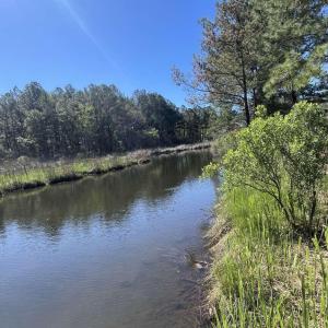 Photo #4 of 3927 Whortonsville, Merritt, NC 7.5 acres