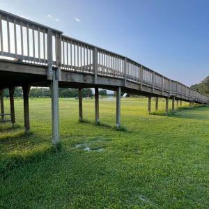 Photo #8 of 3927 Whortonsville, Merritt, NC 7.5 acres