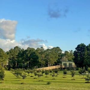 Photo #5 of 3927 Whortonsville, Merritt, NC 7.5 acres