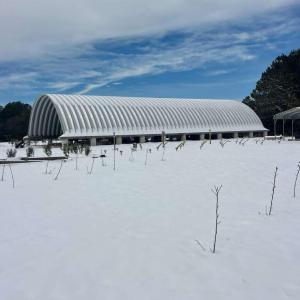 Photo #13 of 3927 Whortonsville, Merritt, NC 7.5 acres