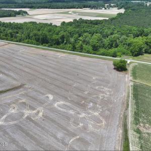 Photo #9 of Rabbit Hollow, Snow Hill, NC 14.3 acres