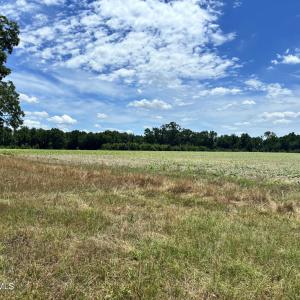 Photo #17 of Rabbit Hollow, Snow Hill, NC 14.3 acres