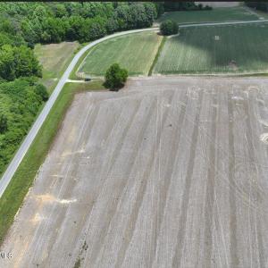 Photo #5 of Rabbit Hollow, Snow Hill, NC 14.3 acres