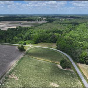 Photo #10 of Rabbit Hollow, Snow Hill, NC 14.3 acres