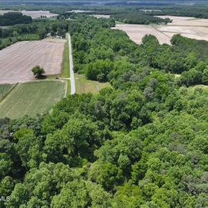 Photo #14 of Rabbit Hollow, Snow Hill, NC 14.3 acres