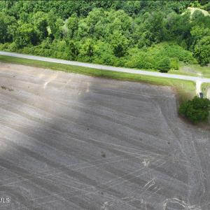 Photo #7 of Rabbit Hollow, Snow Hill, NC 14.3 acres