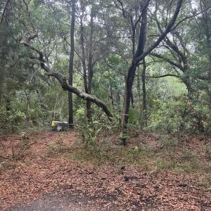 Photo #5 of 8 Leopard Frog, Bald Head Island, NC 0.5 acres