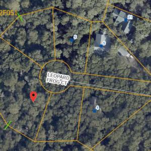 Photo #1 of 8 Leopard Frog, Bald Head Island, NC 0.5 acres