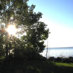 Photo #4 of Lot 1 Summerby, Roper, NC 1.7 acres