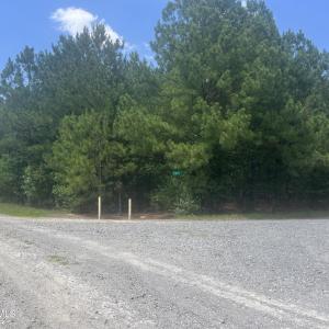 Photo #4 of Tbd Curly, Bennettsville, SC 1.5 acres