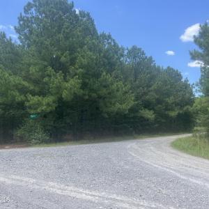 Photo #3 of Tbd Curly, Bennettsville, SC 1.5 acres