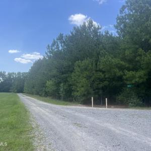 Photo #2 of Tbd Curly, Bennettsville, SC 1.5 acres
