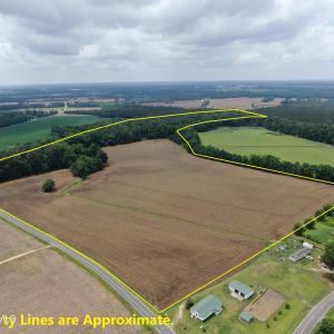 Photo #1 of Tbd Stone, Fairmont, NC 56.0 acres
