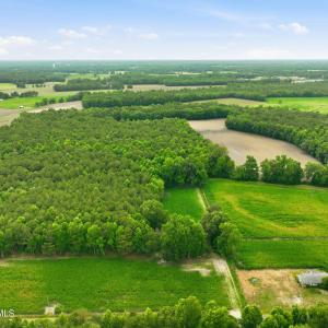 Photo #13 of 1700 Felix Heath, Pink Hill, NC 50.8 acres