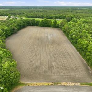 Photo #10 of 1700 Felix Heath, Pink Hill, NC 50.8 acres