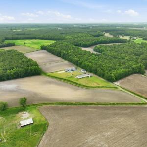 Photo #3 of 1700 Felix Heath, Pink Hill, NC 50.8 acres