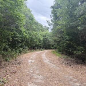 Photo #18 of 1700 Felix Heath, Pink Hill, NC 50.8 acres
