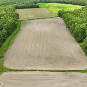 Photo #16 of 1700 Felix Heath, Pink Hill, NC 50.8 acres