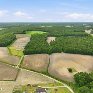 Photo #4 of 1700 Felix Heath, Pink Hill, NC 50.8 acres