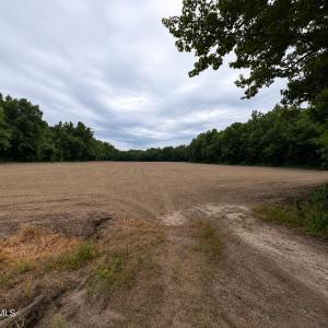 Photo #19 of 1700 Felix Heath, Pink Hill, NC 50.8 acres