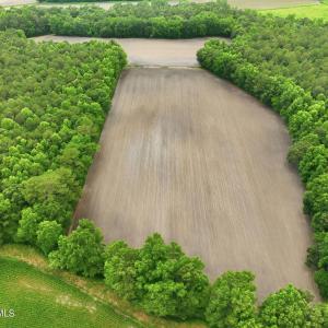 Photo #12 of 1700 Felix Heath, Pink Hill, NC 50.8 acres
