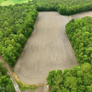 Photo #9 of 1700 Felix Heath, Pink Hill, NC 50.8 acres