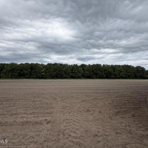 Photo #23 of 1700 Felix Heath, Pink Hill, NC 50.8 acres