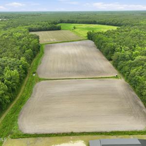 Photo #17 of 1700 Felix Heath, Pink Hill, NC 50.8 acres