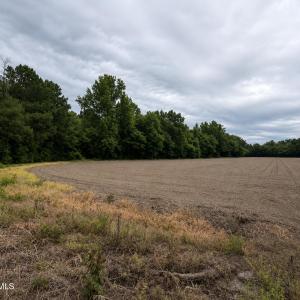 Photo #20 of 1700 Felix Heath, Pink Hill, NC 50.8 acres