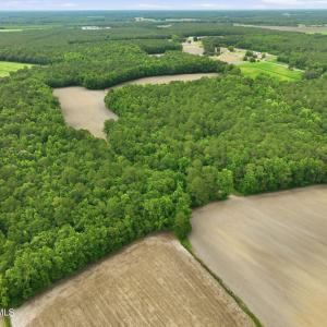 Photo #6 of 1700 Felix Heath, Pink Hill, NC 50.8 acres