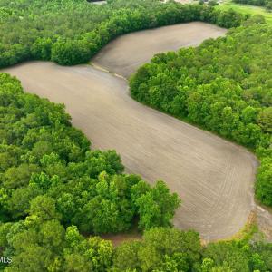 Photo #8 of 1700 Felix Heath, Pink Hill, NC 50.8 acres