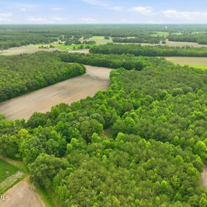 Photo #14 of 1700 Felix Heath, Pink Hill, NC 50.8 acres