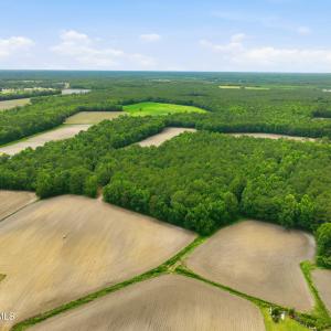 Photo #5 of 1700 Felix Heath, Pink Hill, NC 50.8 acres