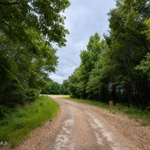 Photo #22 of 1700 Felix Heath, Pink Hill, NC 50.8 acres