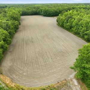 Photo #11 of 1700 Felix Heath, Pink Hill, NC 50.8 acres