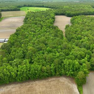 Photo #7 of 1700 Felix Heath, Pink Hill, NC 50.8 acres