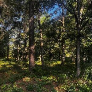 Photo #5 of 2425 Sunset Harbor, Bolivia, NC 0.6 acres