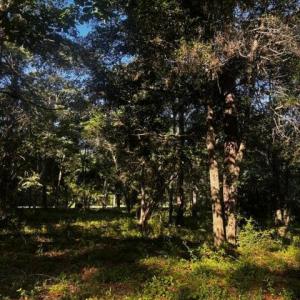 Photo #4 of 2425 Sunset Harbor, Bolivia, NC 0.6 acres