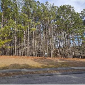 Photo #3 of 175 Broken Ridge, West End, NC 1.4 acres