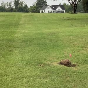 Photo #3 of 309 Schooner Landing, Edenton, NC 0.7 acres