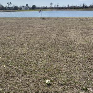 Photo #1 of 309 Schooner Landing, Edenton, NC 0.7 acres