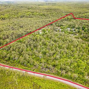 Photo #2 of 225 Gales Creek, Newport, NC 41.0 acres