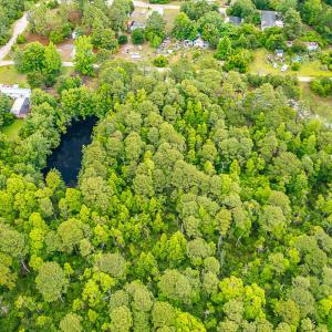 Photo #3 of 225 Gales Creek, Newport, NC 41.0 acres