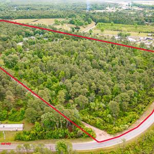 Photo #5 of 225 Gales Creek, Newport, NC 41.0 acres