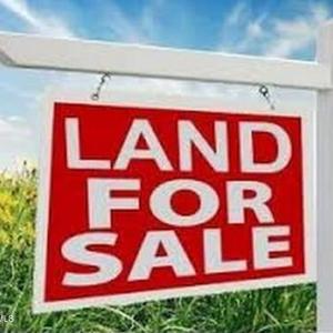 Photo #1 of Hillendale, Snow Hill, NC 28.6 acres